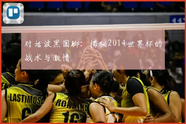 对话波黑国脚:揭秘2014世界杯的战术与激情