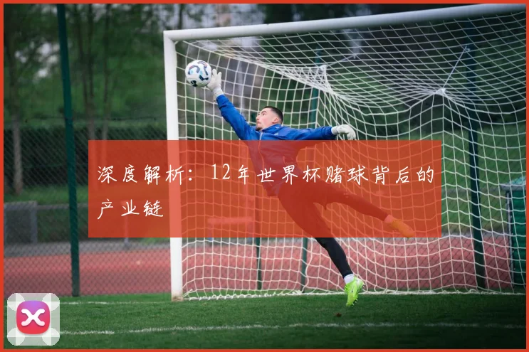 深度解析:12年世界杯赌球背后的产业链