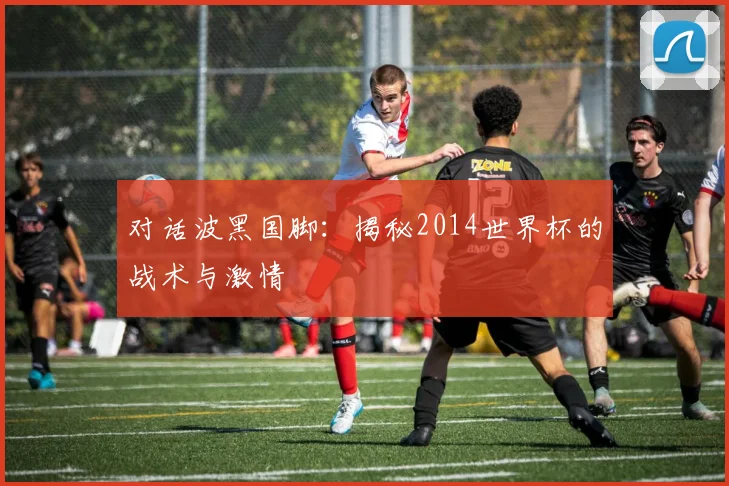 对话波黑国脚:揭秘2014世界杯的战术与激情