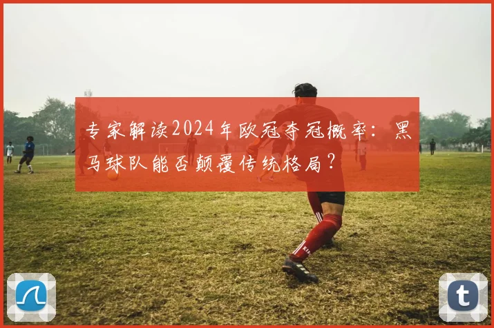 专家解读2024年欧冠夺冠概率：黑马球队能否颠覆传统格局？