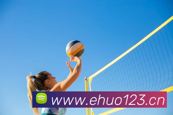 kaiyun开云发展历程